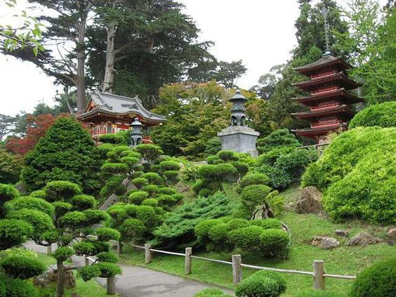 japanese tea garden