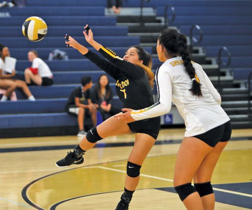 Bulletin volleyball 2018