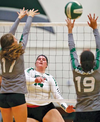 Bulletin volleyball 2018