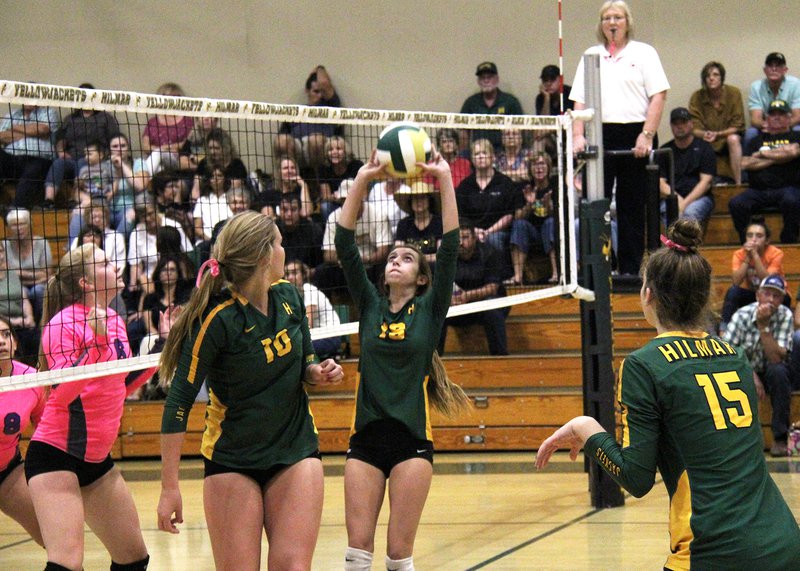 hilmar volley 2