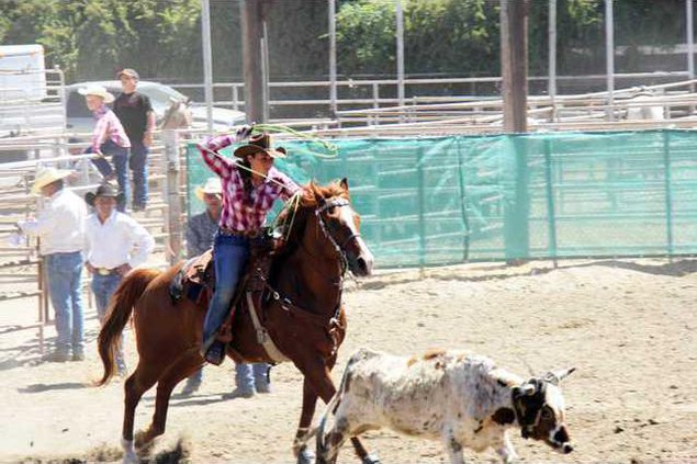 jr rodeo pic1