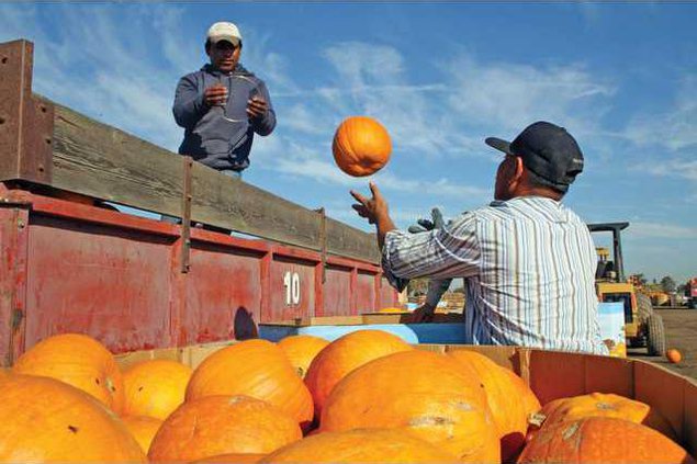 AgReport2013PhotoIllusRAR-090214-LT