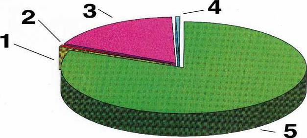 GRAPH GENERAL FUND 2