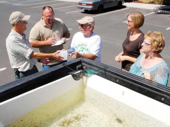 Mosquito-fish-DSC 4537-LT