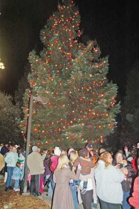 RIPON--Tree-Lighting-Pic-6a