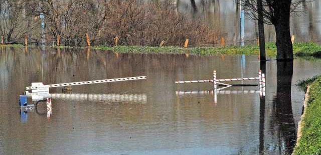 TurtleBeachDSC 0156a