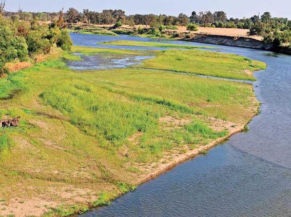 WILDART RIVER2-8-8-14-LT