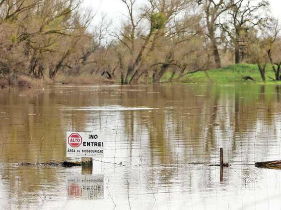 flood-LT