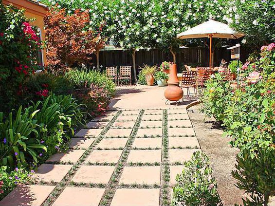 garden TOP