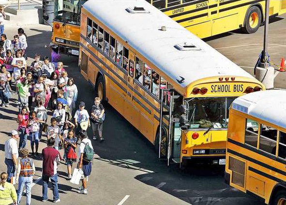BUS1-11-20-08    