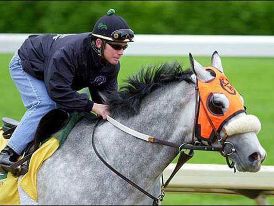 DERBY--Applebite-Pic-2