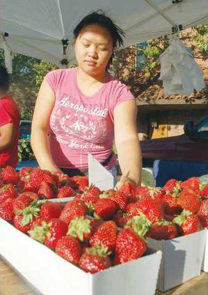 FARMERS-MARKET--Pic-1a