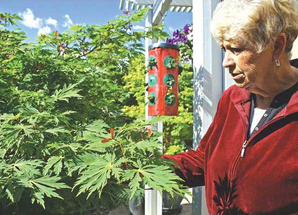 GardenTourDiMaggio-7