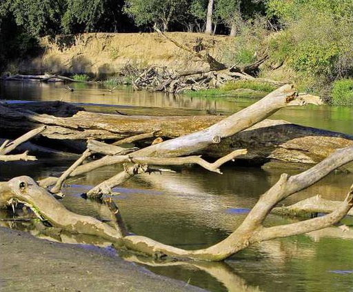 LOW RIVER DROUGHT2 9-29-14