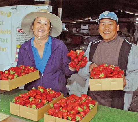 StrawberryStandDSC 0154a