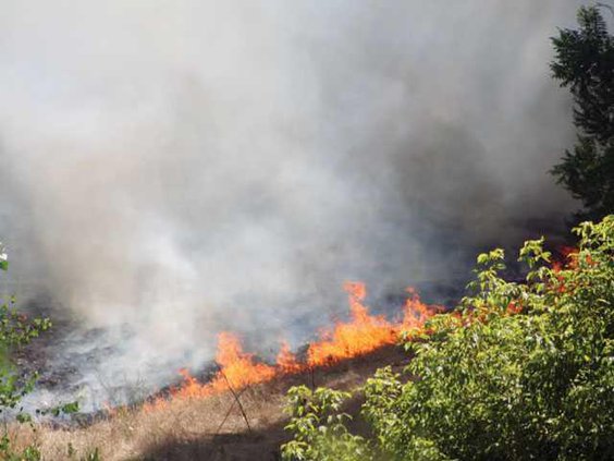 TOP-fire-photo-LT