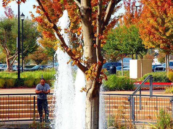 fall pix