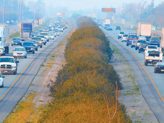 highway-99-LT