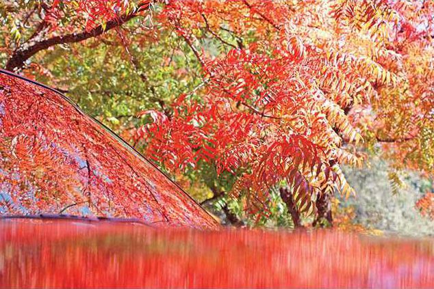 FallInTheFoothills2009-6