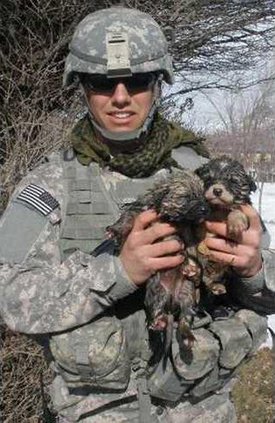 Gallego-pups-7 7445026 n1