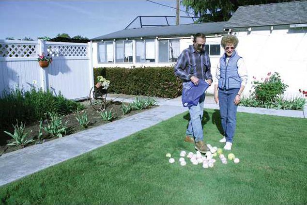 Lathrop-WilsonsBaseballs1