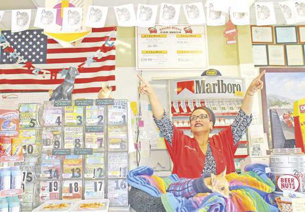 QuickiKleenTurkeys112409a