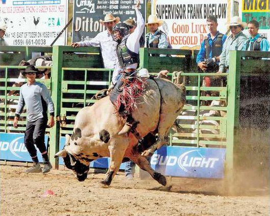 Rodeo1
