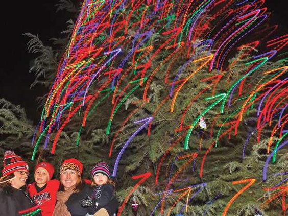 TREELIGHT MANTECA4-12-6-13-LT