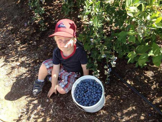 VanderHelm Farm Visitor