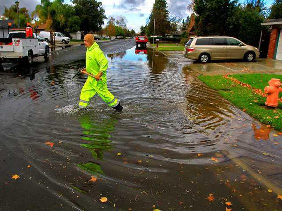 WILDART RAIN1-12-3-12