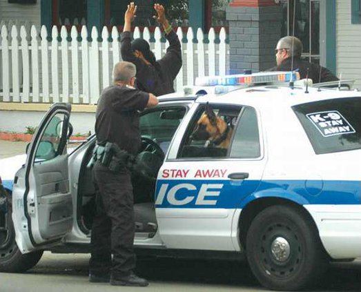 copstop 