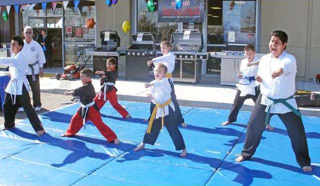 pic sears-karate-1a