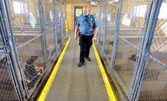 ANIMAL-SHELTER1-3-28-09 