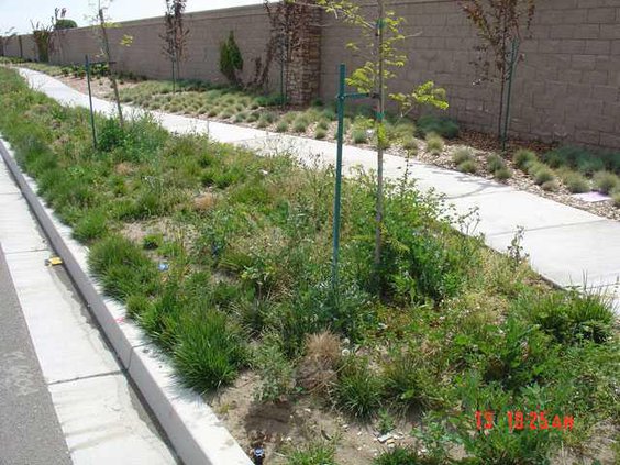 Atherton-Drive-744816