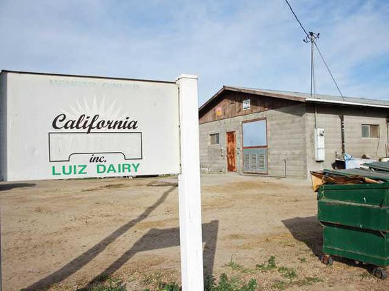 DAIRY-With-bottom-story-LT