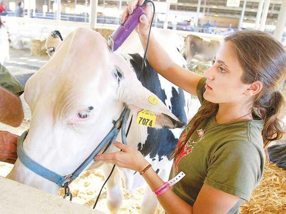 FAIR4 9-21-12a copy