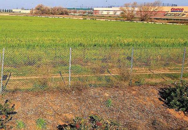 GREAT WOLF SITE1-1-5-15-LT