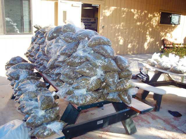 1 2m In Meth Pot Seized Manteca Bulletin
