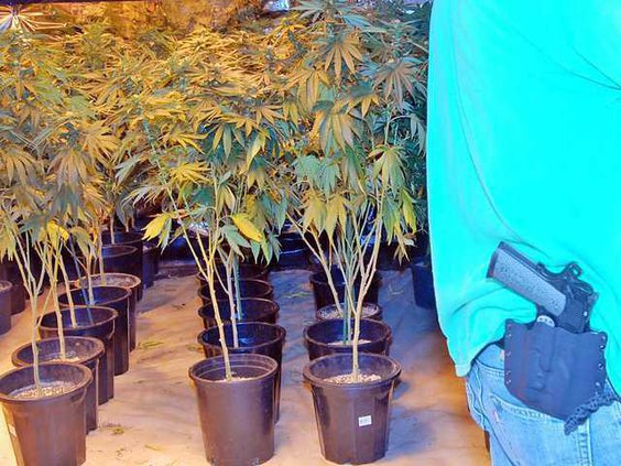 Pot-House-2-DSC 6004a