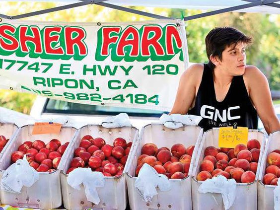 RIPON FARMERS MARKET2-6-6-14-LT