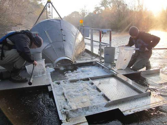 Stanislaus-river-rotary-screw-trap