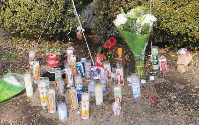 Straw-Hat-update-DSC 4341-LT