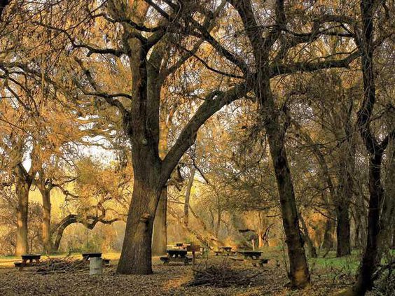 TOP-CASWELL STATE PARK3-12-29-14-LT