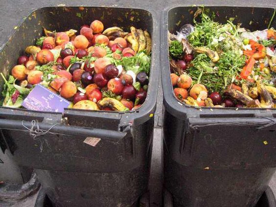 food-waste