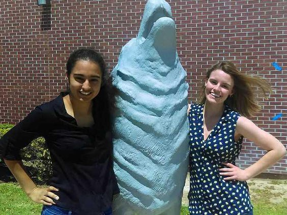 pic shs val sal 2017