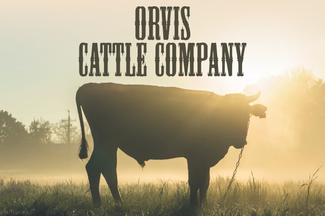 5581-orvis-cattle.png
