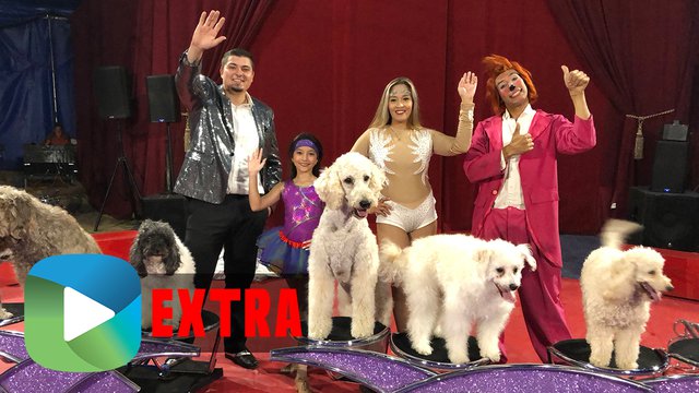 Olate Dogs Circus Studio209 Extra 209 Magazine Listen to the olate dogs' christmas by the olate dogs on deezer. 209 magazine