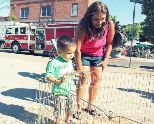 farmers market pic1
