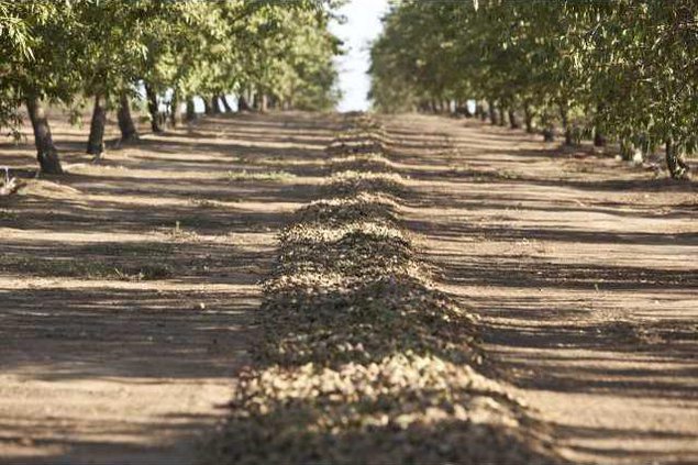 Harvest Innovation blog pos. Windrows