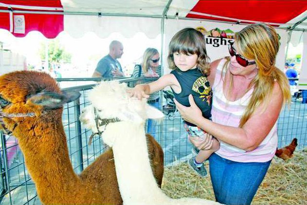 Hughson festival